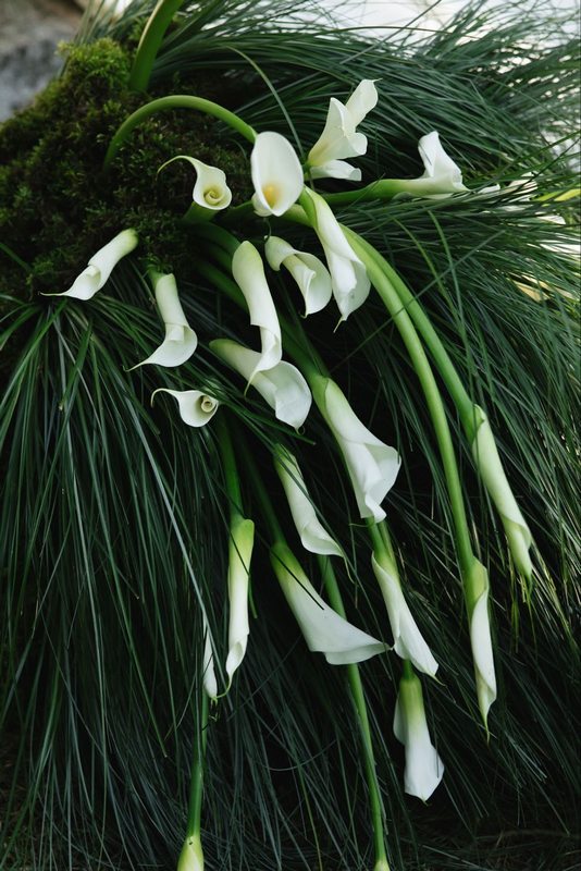 Свадьба на ивент площадке ХАЙД в Москве природа и лес